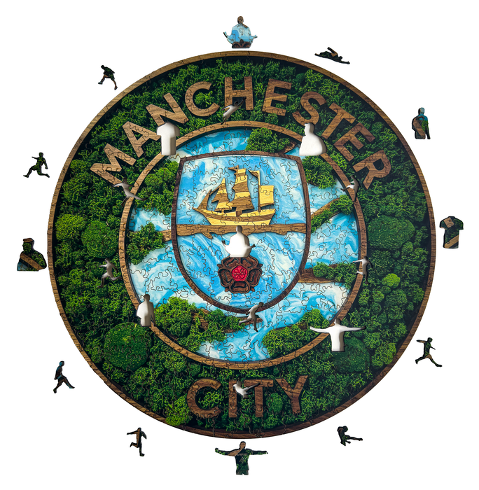 Manchester City - moha - Fa puzzle