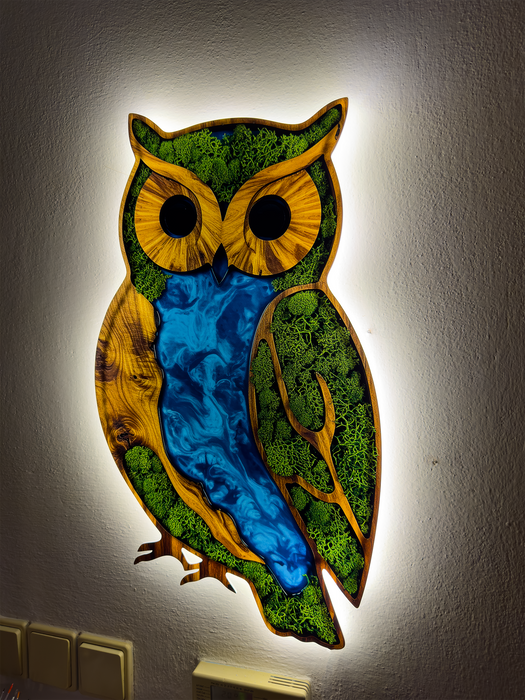 Shining Moss poster Owl