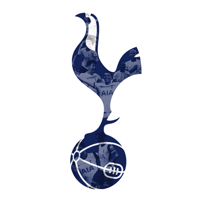 Világító falikép Tottenham Hotspur