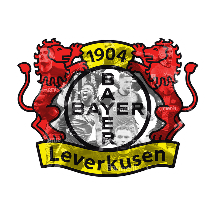 Fa Falikép Bayer 04 Leverkusen
