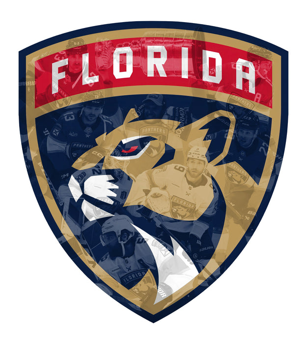 Fa Falikép Florida Panthers