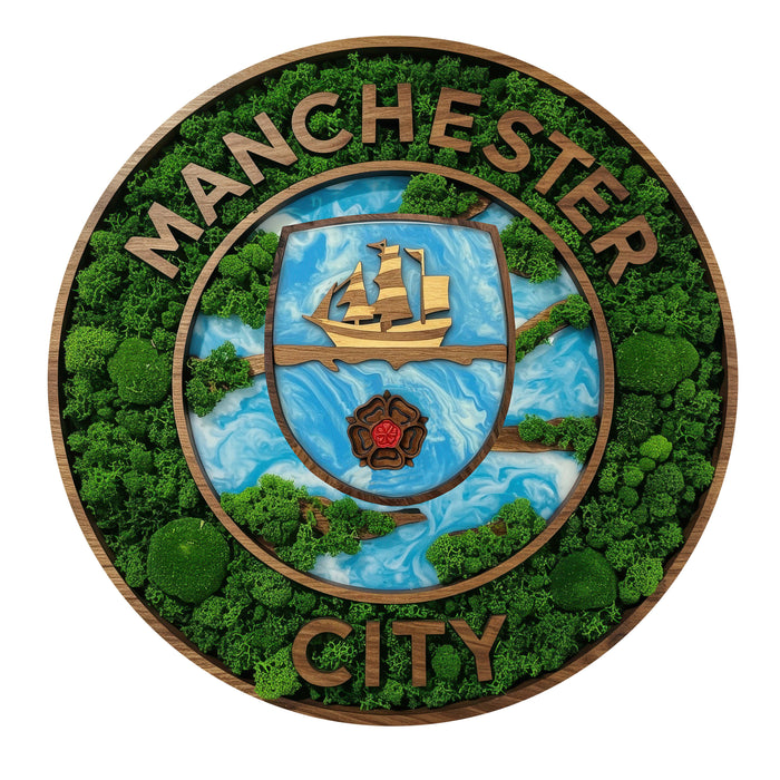 Manchester City - moha - Fa puzzle