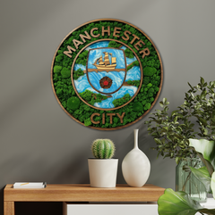 Moss Fa Falikép- Manchester City