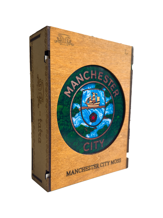 Manchester City - moha - Fa puzzle