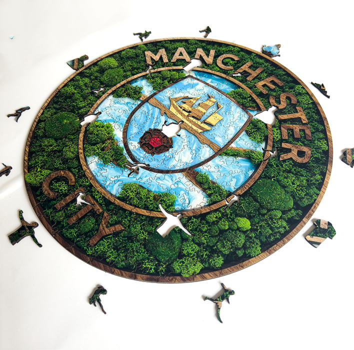 Manchester City - moha - Fa puzzle